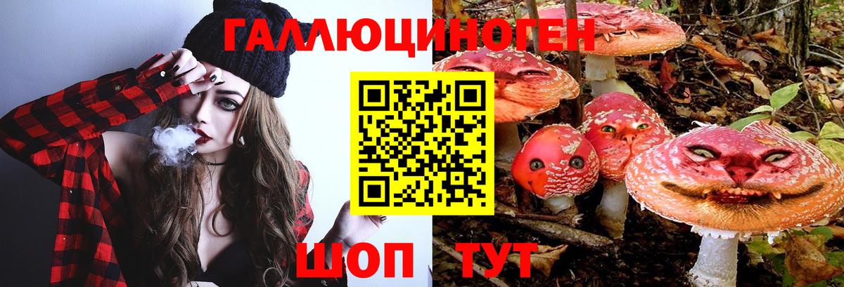 Абакан  Галлюциногенные грибы мухоморы  Вход с VPN 